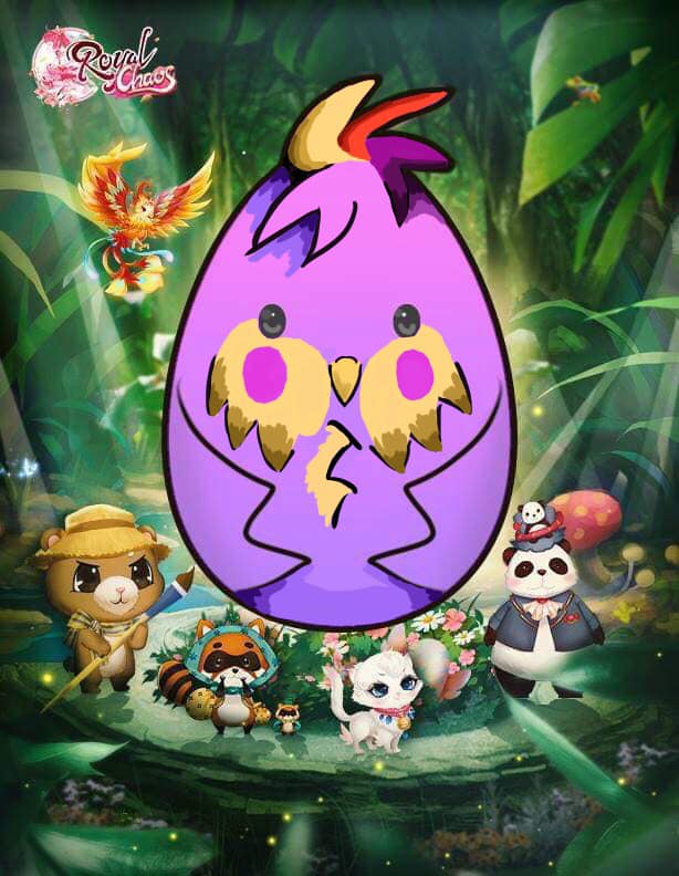 Pet Egg Decoration in Easter: ChristinaH